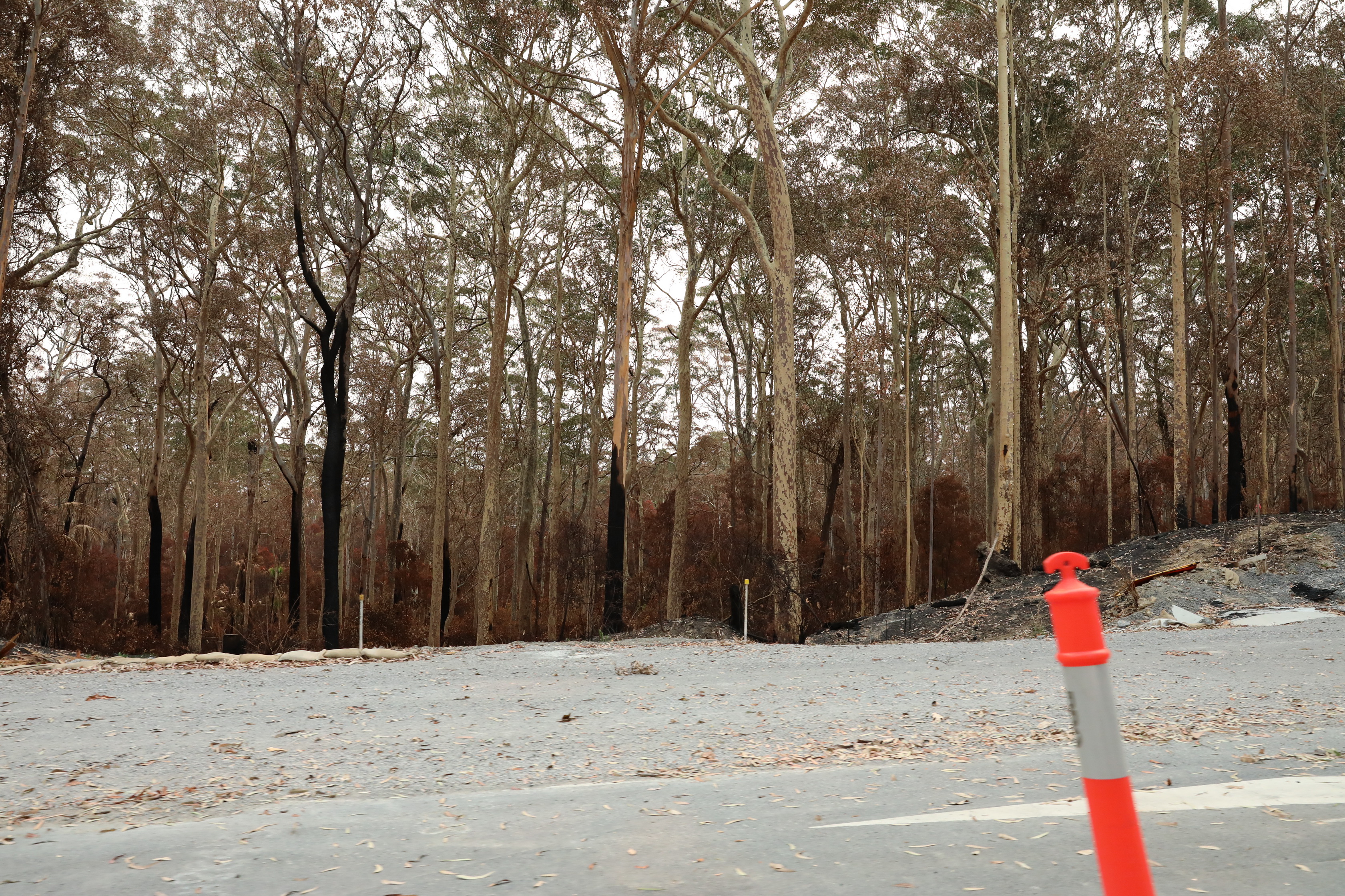 Murramarang-Nationalpark am Princes Highway